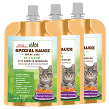 Special Sauce (formerly known as Super Sauce) for Cats - 3 Pouches @ 3.5 oz. each (Total 10.5 oz)